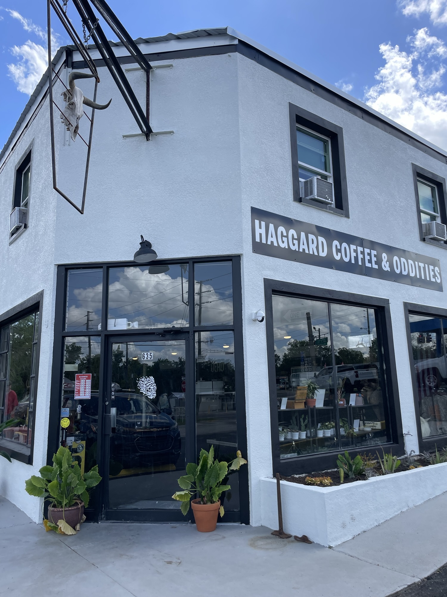 Haggard Coffee + Oddities